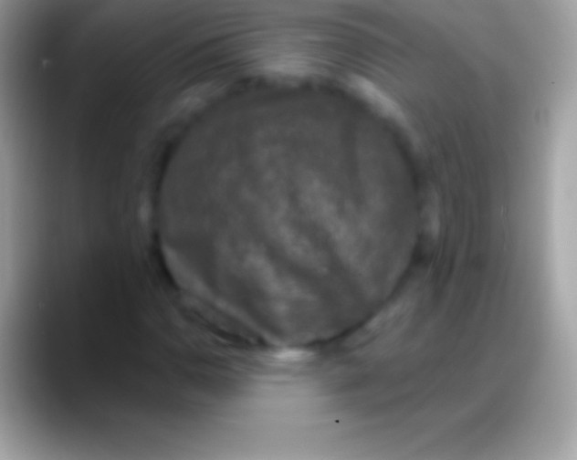 X0000088141110200706041332