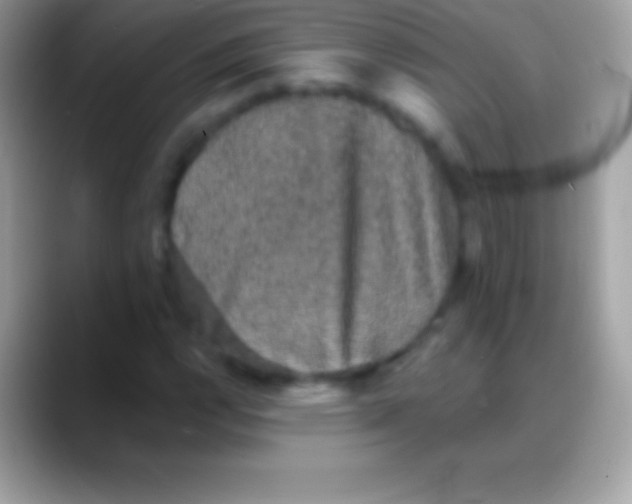 X0000088141112200706041332