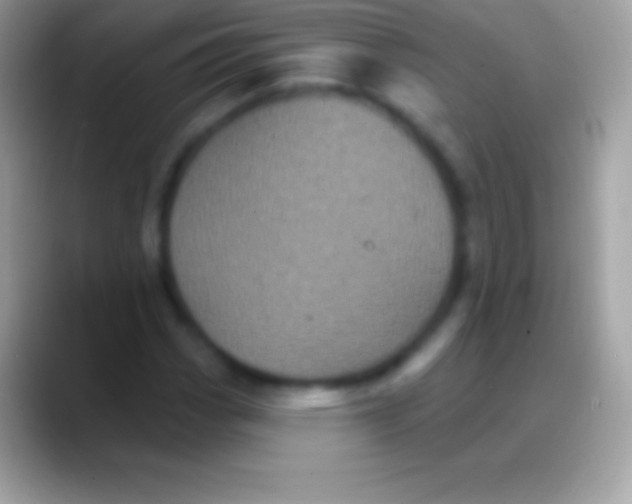 X0000088141113200706041332