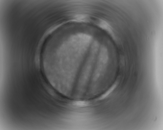 X0000088141114200706041332