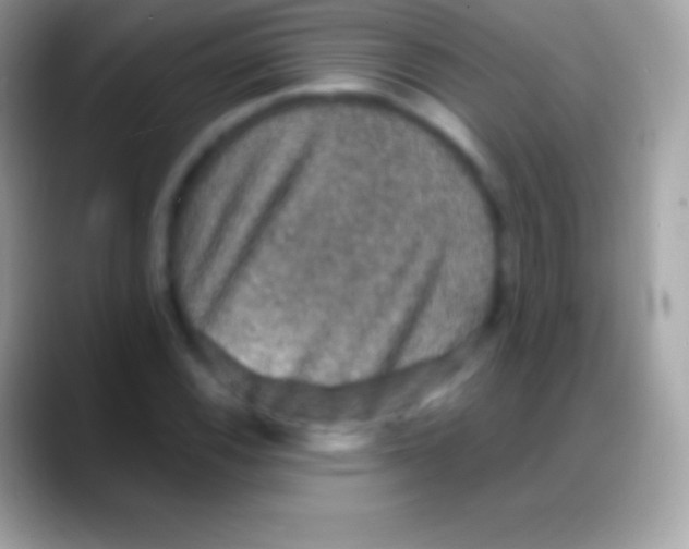 X0000088141116200706041332