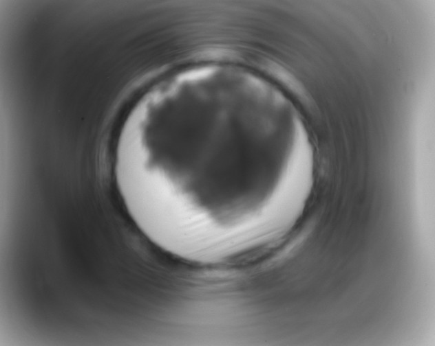 X0000088141117200706041332