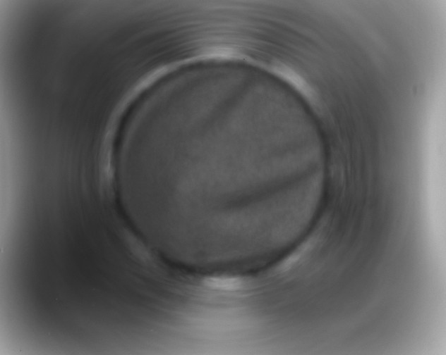 X0000088141118200706041332