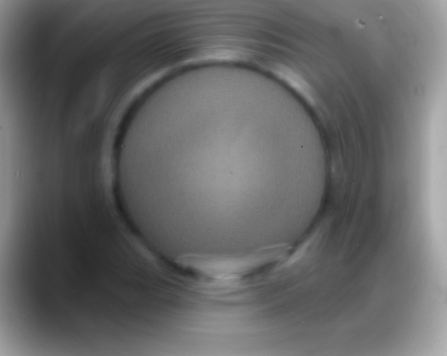 X0000088141119200706041332