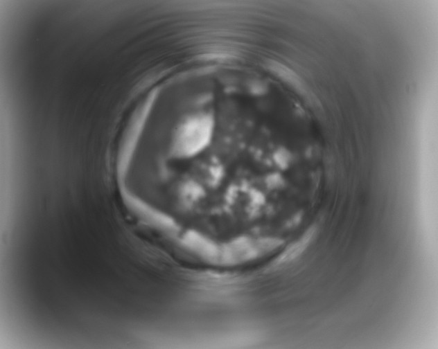 X0000088141121200706041332