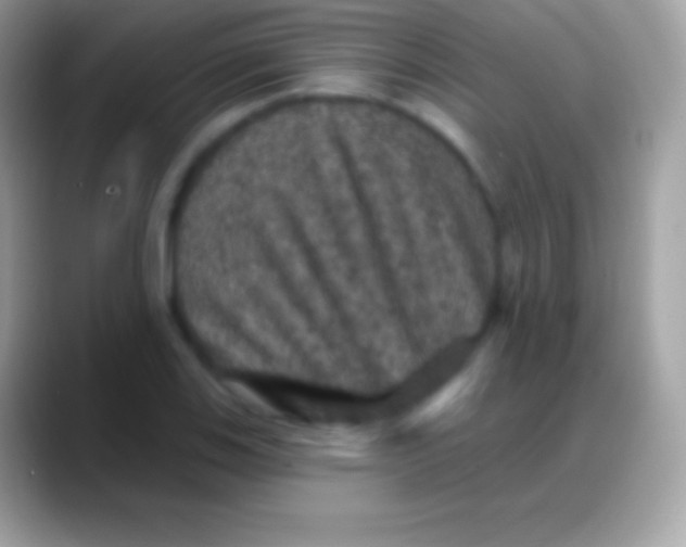 X0000088141123200706041332