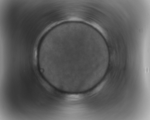 X0000088141126200706041332