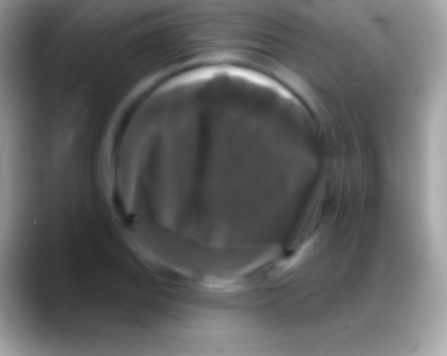 X0000088141127200706041332