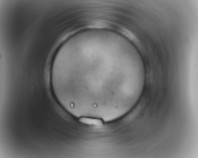 X0000088141130200706041332