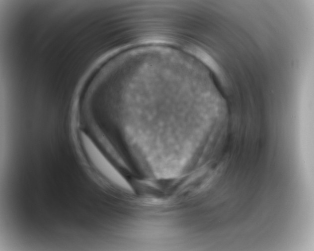 X0000088141132200706041332