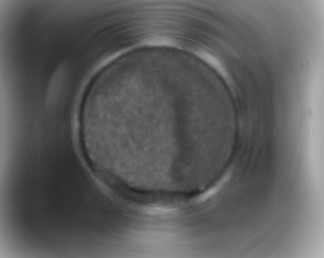 X0000088141133200706041332