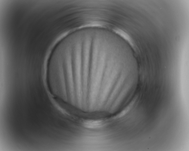 X0000088141135200706041332