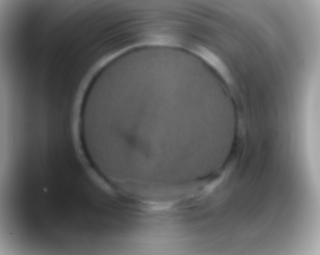 X0000088141136200706041332