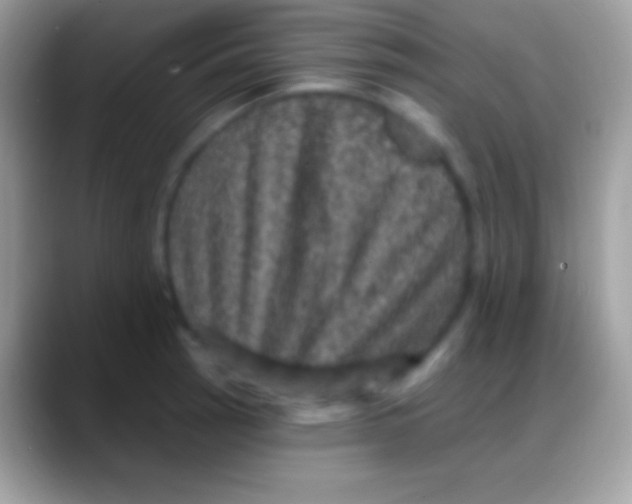 X0000088141137200706041332