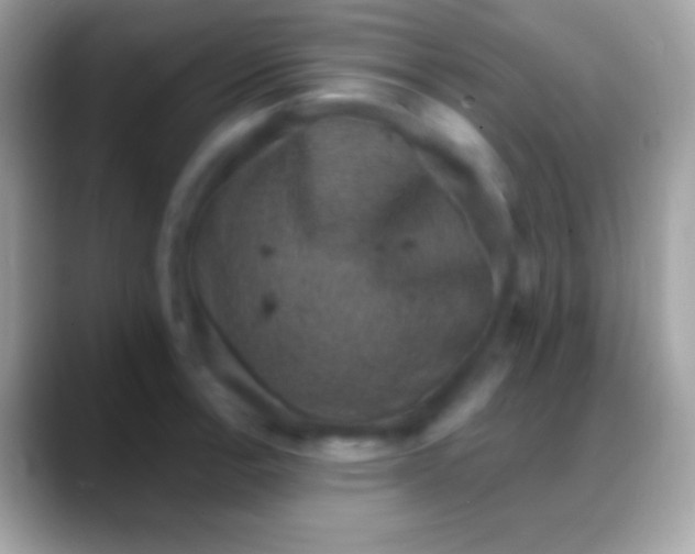 X0000088141138200706041332