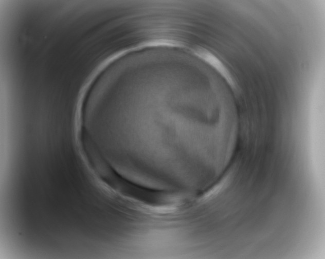 X0000088141140200706041332