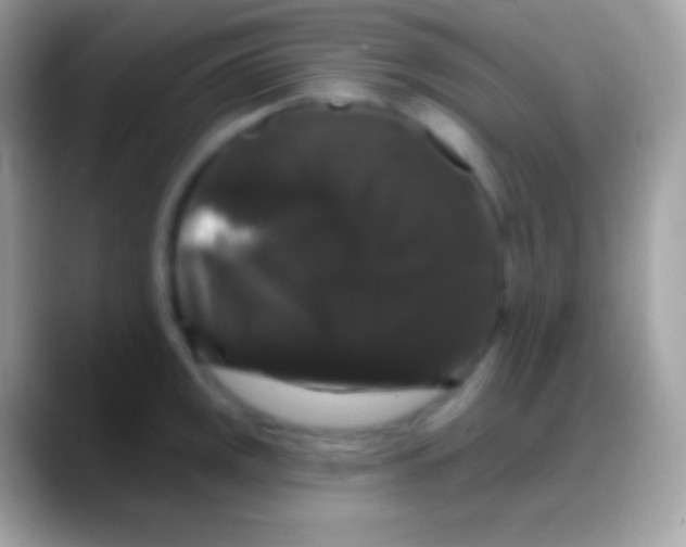 X0000088141141200706041332