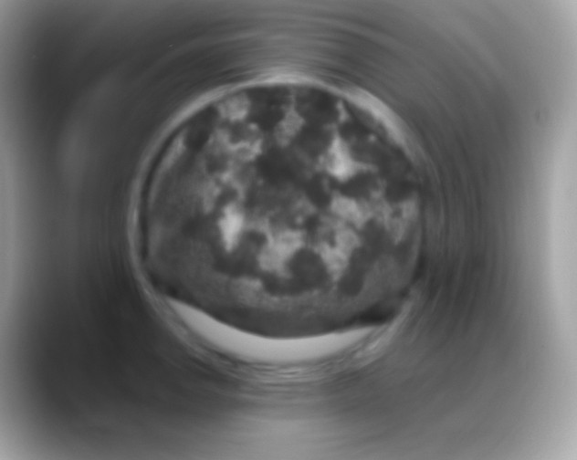 X0000088141142200706041332