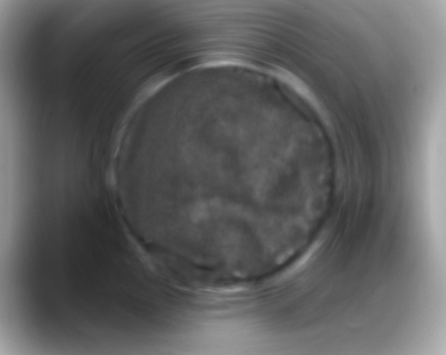 X0000088141145200706041332