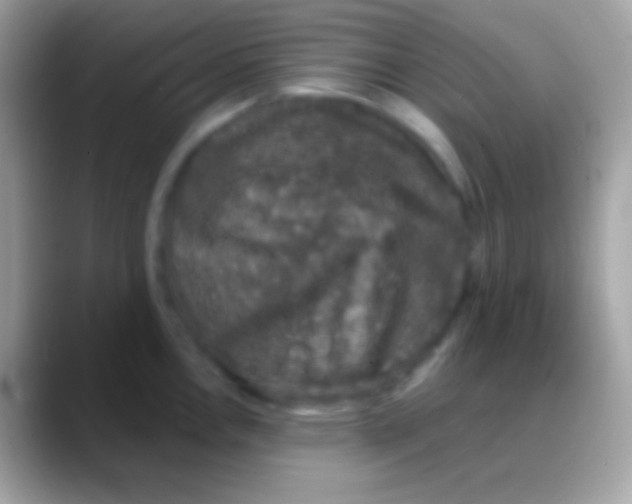 X0000088141146200706041332