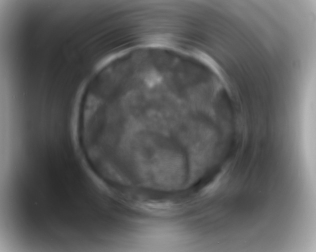 X0000088141147200706041332