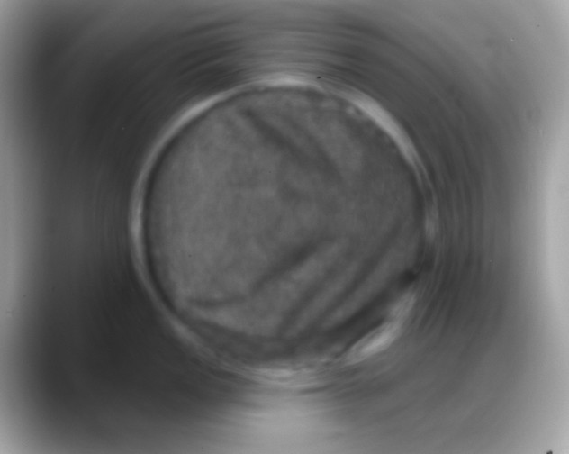 X0000088141149200706041332