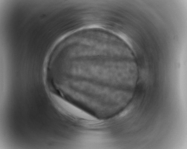 X0000088141151200706041332