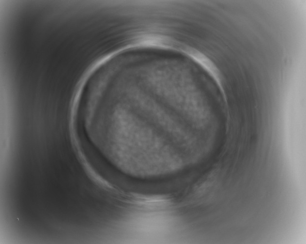 X0000088141152200706041332