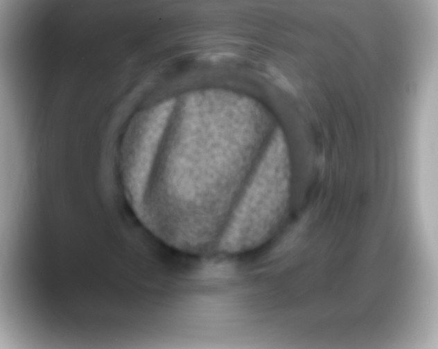 X0000088141153200706041332