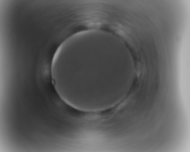 X0000088141154200706041332