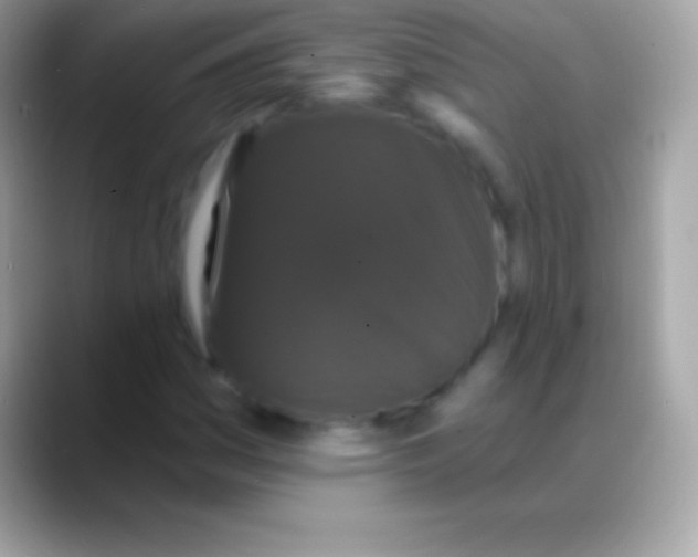 X0000088141161200706041332