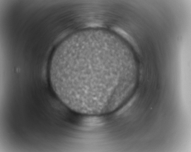 X0000088141162200706041332