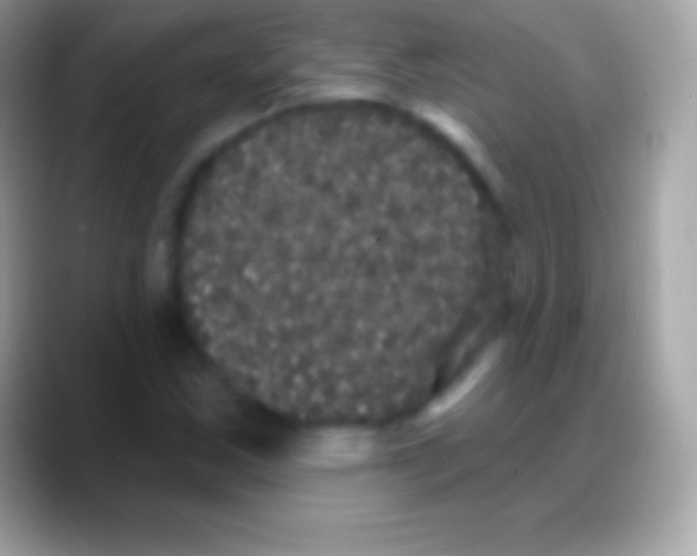 X0000088141163200706041332