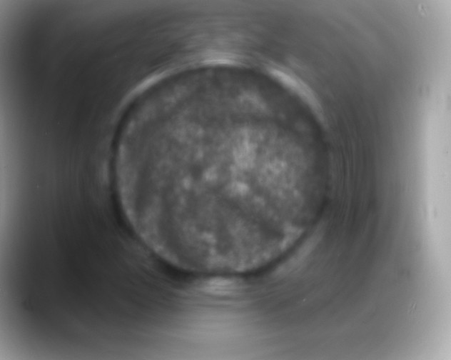 X0000088141166200706041332