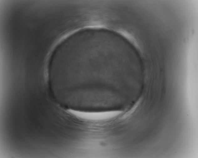 X0000088141167200706041332