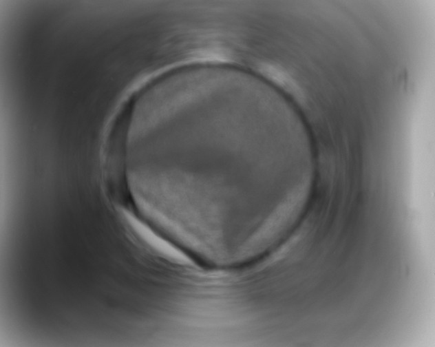 X0000088141168200706041332