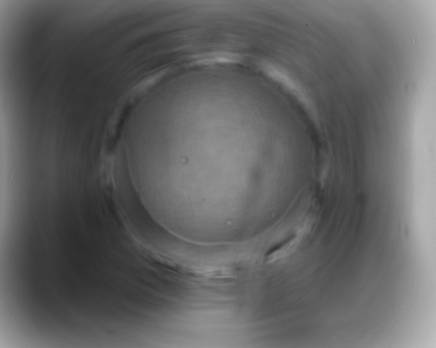 X0000088141169200706041332