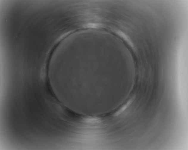 X0000088141170200706041332