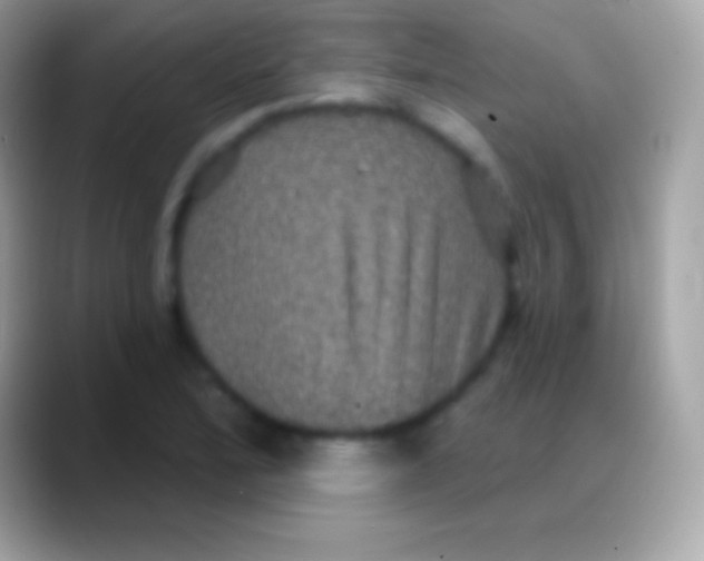 X0000088141172200706041332