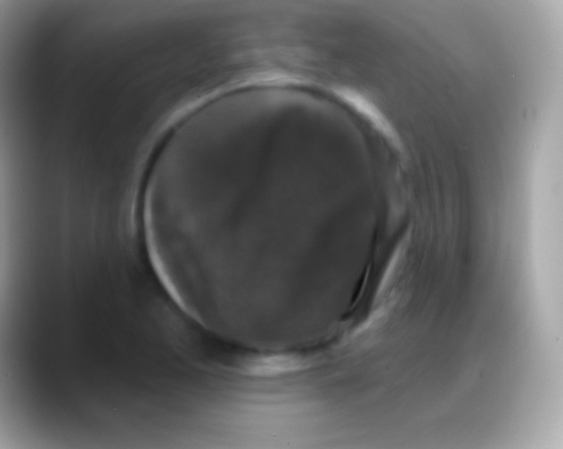 X0000088141173200706041332