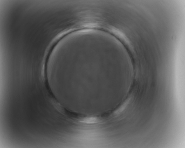 X0000088141174200706041332