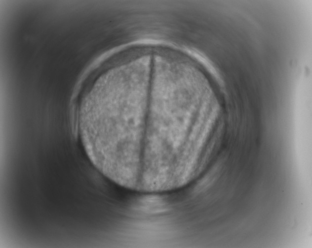 X0000088141175200706041332