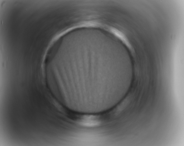 X0000088141176200706041332