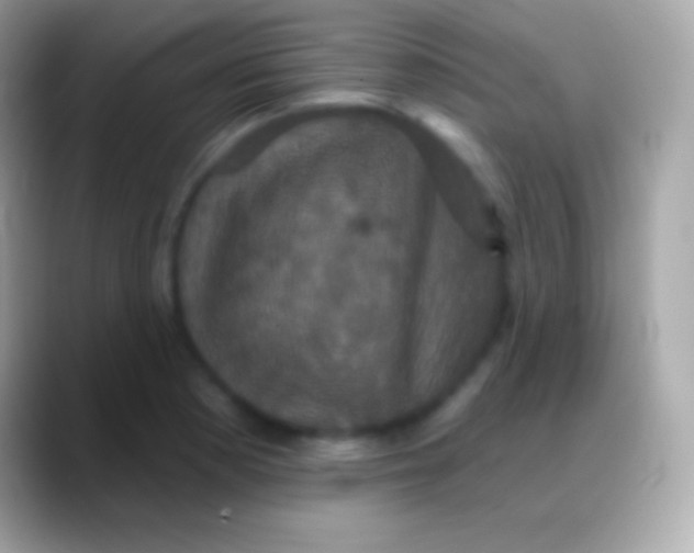 X0000088141177200706041332