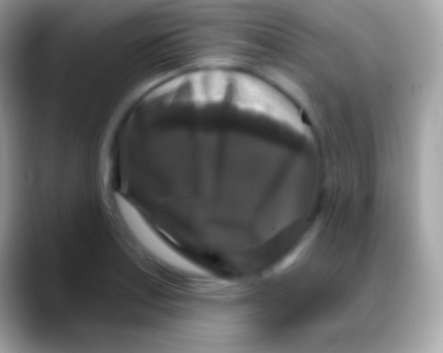 X0000088141179200706041331