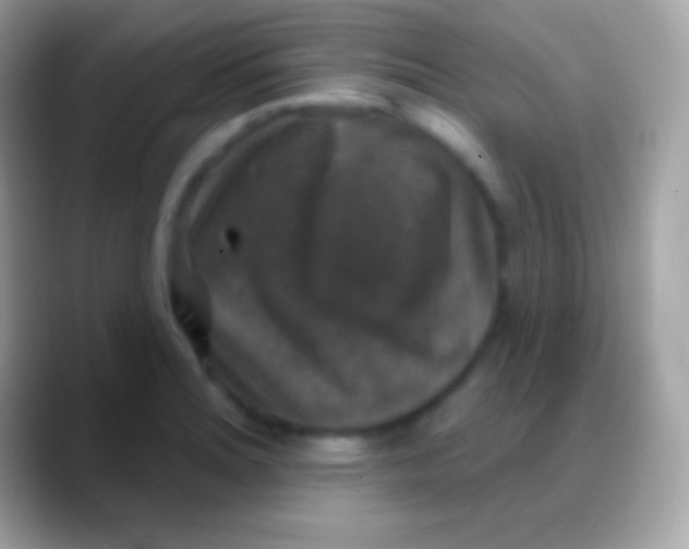 X0000088141180200706041331