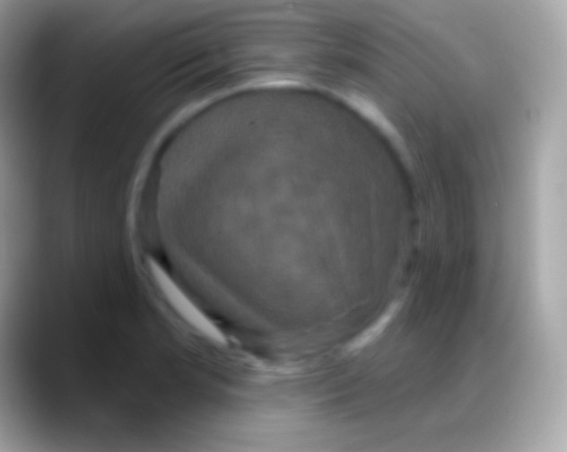 X0000088141181200706041331