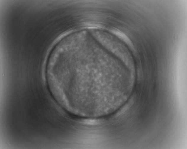 X0000088141182200706041331