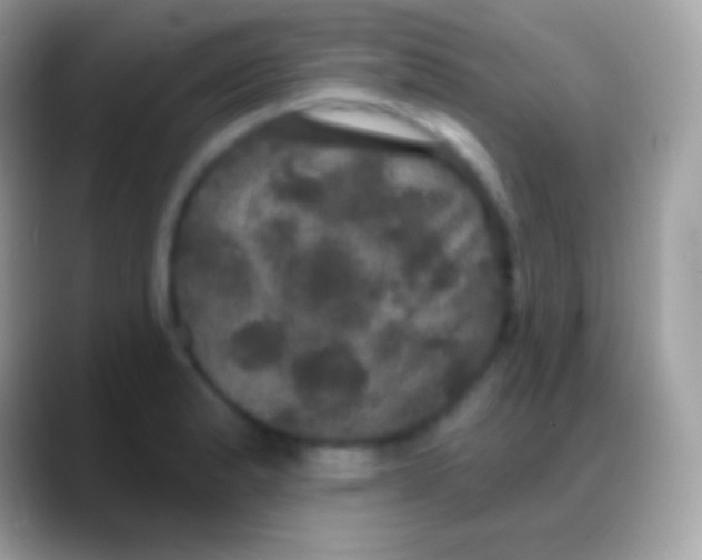 X0000088141183200706041331