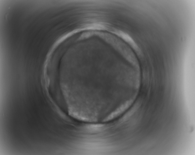 X0000088141184200706041331